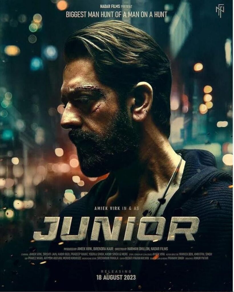 Junior (2023) Punjabi